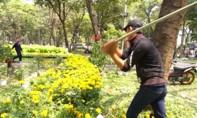 Vì sao nên lắp đặt máng xối
